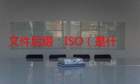 文件后缀：ISO（是什么意思）