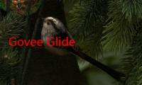 Govee Glide RGBIC 智能壁灯降价 42 美元