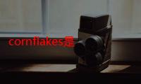 cornflakes是什么意思（cornflakes是什么意思）