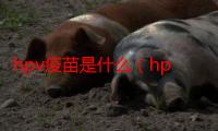 hpv疫苗是什么（hpv疫苗分几类）